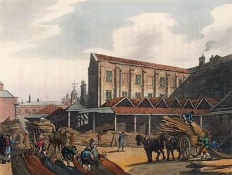 Mercato di Leadenhall, da Microcosmo di Londra di Ackermann